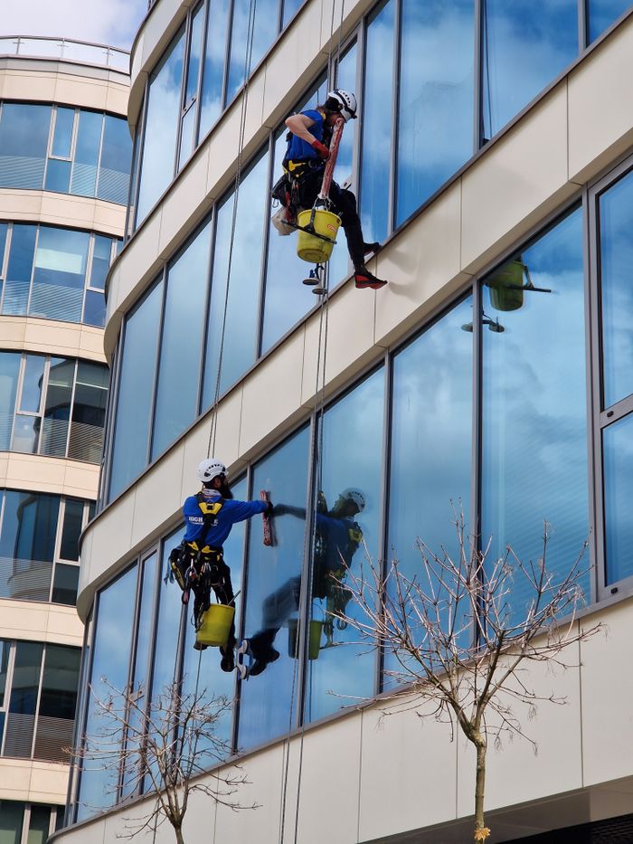 contact-img Two window cleaners using ropes on a modern skyscraper, showcasing urban professional maintenance.